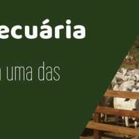 Slideshow-3